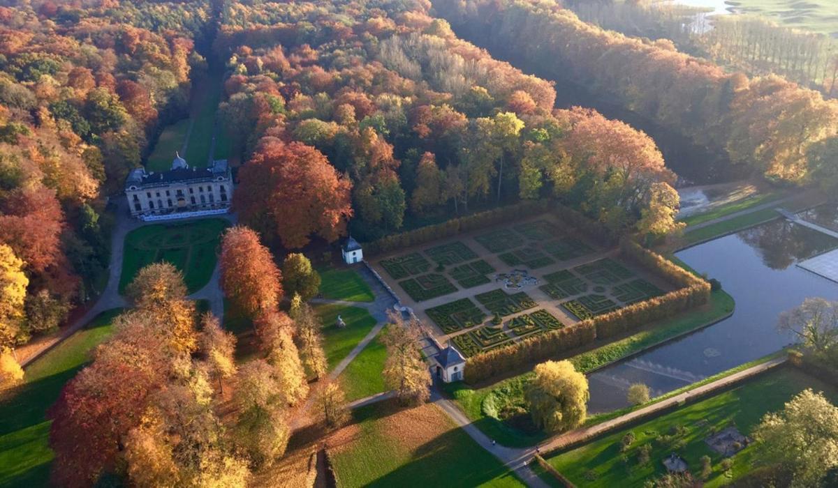 Du Vieux Cedre